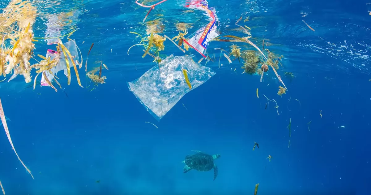 O Μεγάλος Σκουπιδότοπος πλαστικών του Ειρηνικού είναι πλέον ένα οικοσύστημα με πλάσματα