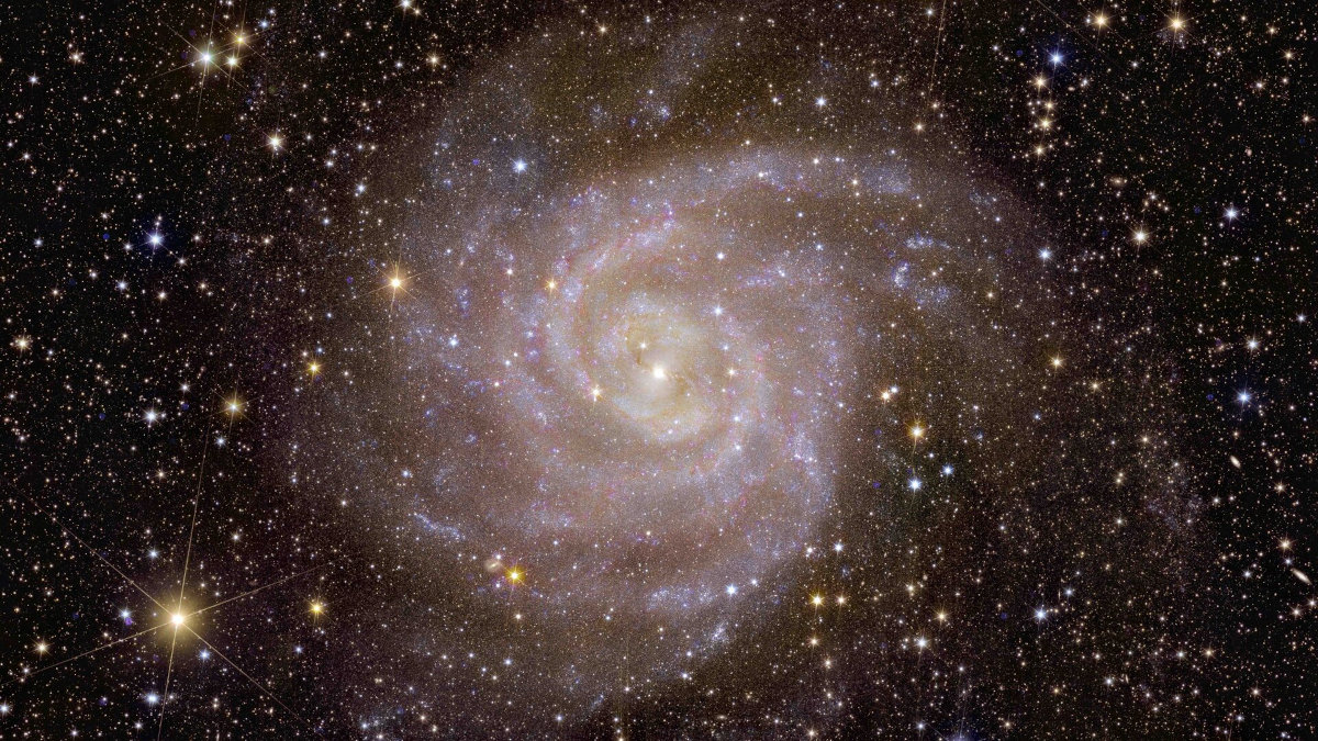 Σπειροειδής γαλαξίας IC 342