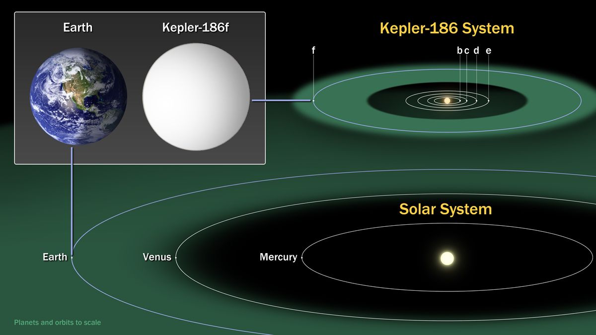 Εικόνα 2: Υπάρχουν πολλοί γνωστοί εξωπλανήτες σε κατοικήσιμες ζώνες - τροχιές όχι τόσο κοντά σε ένα αστέρι ώστε το νερό να βράζει, αλλά όχι τόσο μακριά ώστε ο πλανήτης να είναι παγωμένος, όπως σημειώνονται με πράσινο χρώμα τόσο για το ηλιακό σύστημα όσο και για το αστρικό σύστημα Kepler-186 με τους πλανήτες του (με τις ενδείξεις b, c, d, e και f).